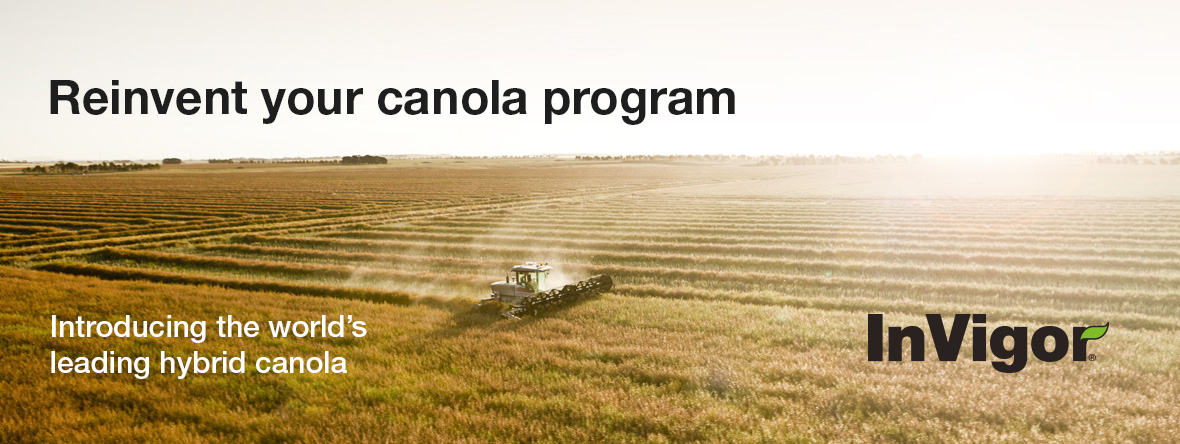 InVigor Canola InVigor Canola
